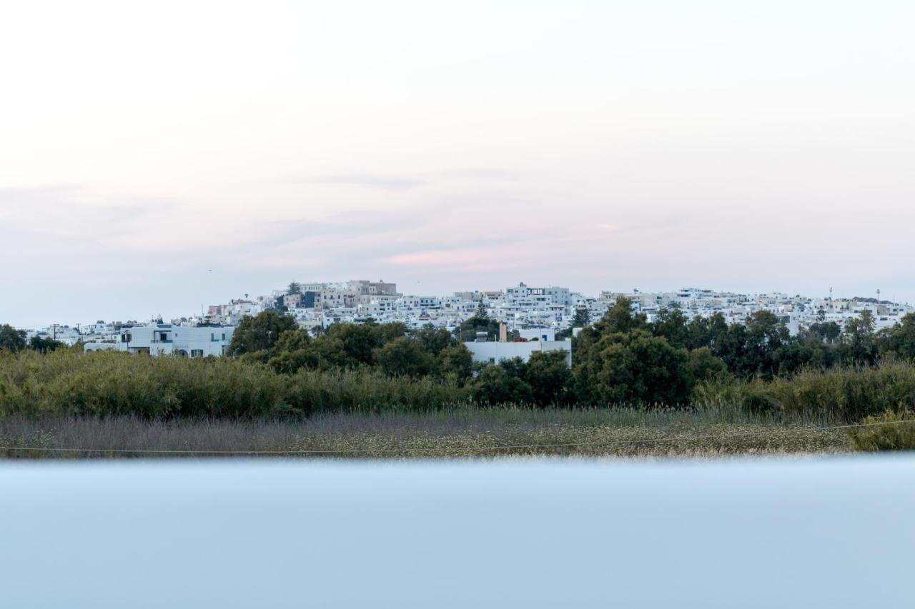 Isalos Villas Naxos Naxos City Eksteriør bilde